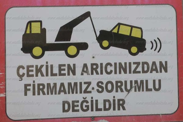 cekilenariciniz6FF0AEAC-2AAF-D035-EAA8-A9786DE9C4D3.jpg